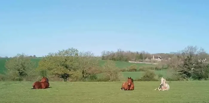 La Baronnerie * Saint-Marc-d'Ouilly